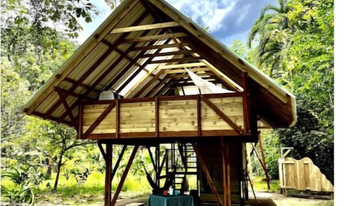 Nuqui Cabina | Cabane Élevée vue sur mer - Proche de Termales