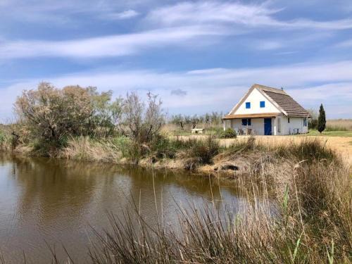 Saintes-Maries-de-la-Mer Casa | Cabane de Gardian 6 pers, nature, animaux admis, parking - FR-1-475-186