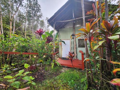 Fern Forest Casa | Cabin 2-Rustic private stay near Volcano National Park
