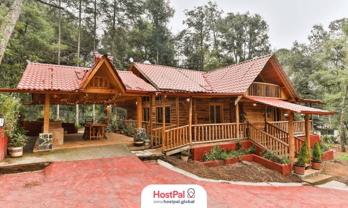 Acaxochitlan Apartamento | Cabin at the Woods l Pet Friendly
