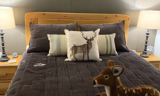 Pinecrest Condominio | Cabin in the snow. Sleeps 8