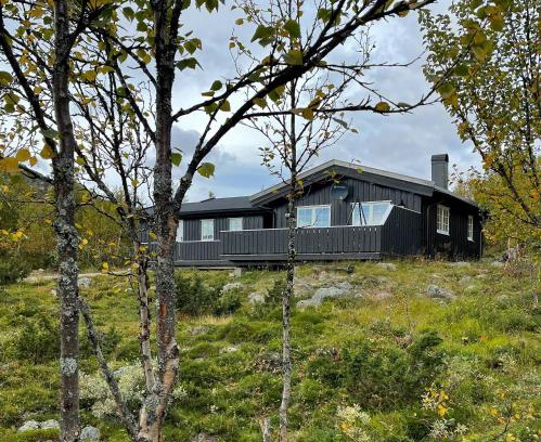 Nore og Uvdal Casa | Cabin In Uvdal With A View Ski-Inout