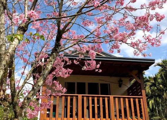 Yuchi Casa | Cabin of Sun Moon Lake