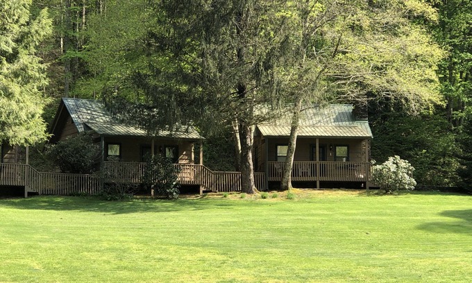 Rabun Gap Cabina | Cabin on a hillside overlooking beautiful Valley Springs Lake pet friendly (dog)