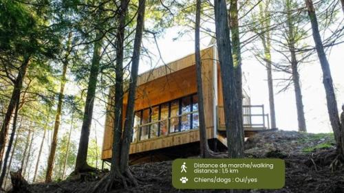Eastman Casa | Cabin Zoobox 84