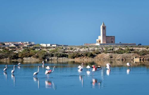 Cabo de Gata Casa | CABO BEACH paradise