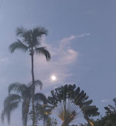 Ilha Grande Casa | Cachanga