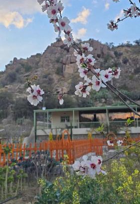 Makkah Province Chalet De Esquí | Cactus Bloom زهرة الصبار