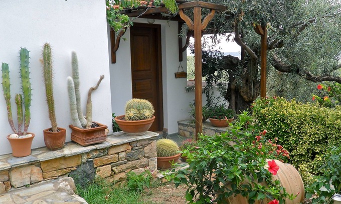 Steni Vala Casa | CACTUS - Casas de flores (Casas Christou) en la isla de Alonissos