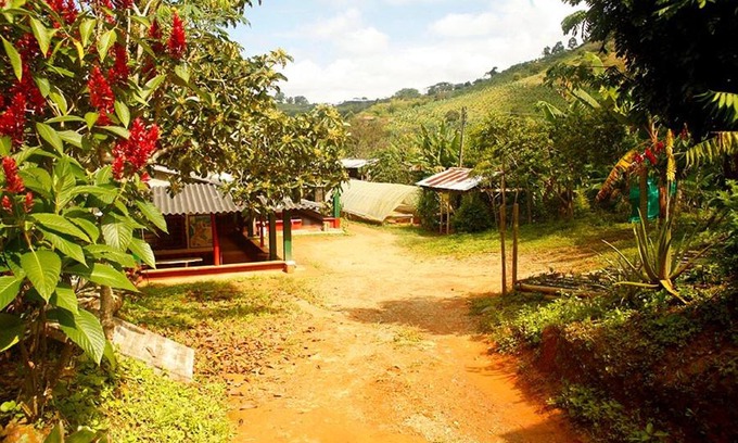 Buenavista Casa | Caficultur -Alojamiento Rural