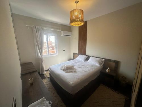 Al-Khalifa Casa | Cairo hotel art city