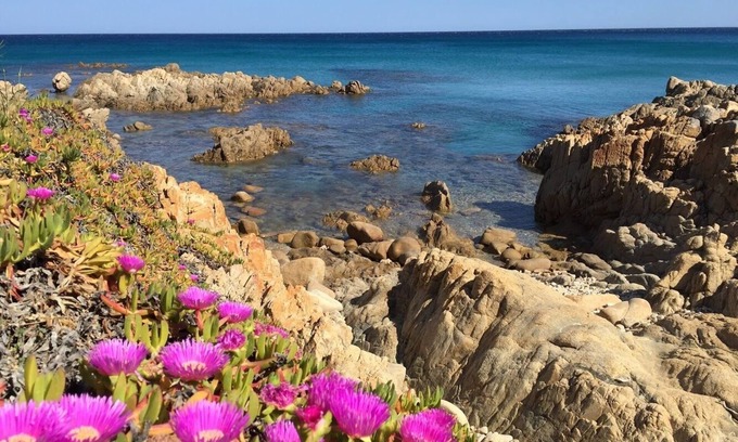 Sas Linnas Siccas Casa | Cala Liberotto: Casa / villa / chalet - Cala Liberotto