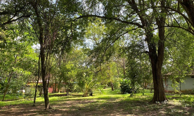 Tangalle Complejo | Calm Garden Cabanas