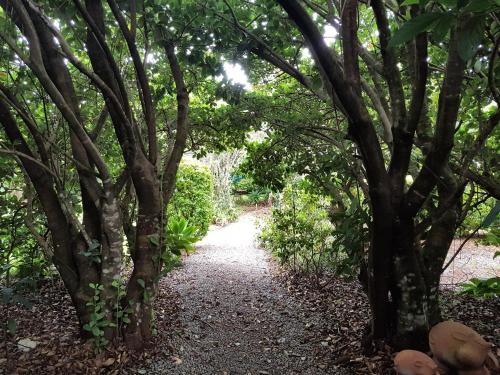 North Tamborine Cabina | Camelot Boutique Accommodation