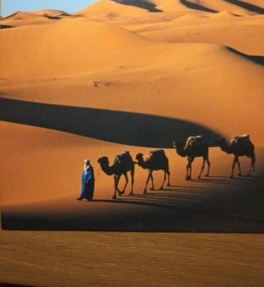Hassilabied Cama Y Desayuno | Camels House