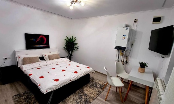 Comanesti Apartamento | Camera/garsoniera in regim hotelier