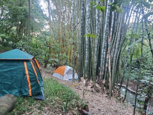 Cuetzalan del Progreso Otro | Campamento equipado de bosque
