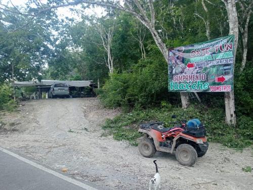 Calakmul Otro | Campamento Yaax Che en Calakmul