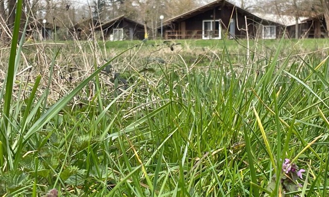 Saint-Didier-sur-Chalaronne Otro | CAMPING DE LA CHALARONNE