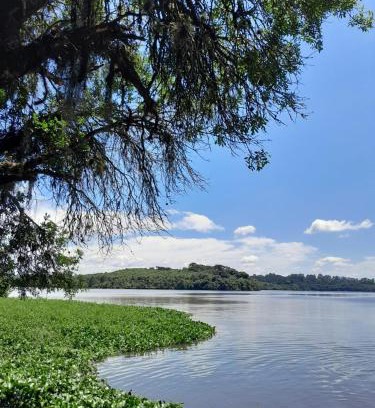 South Region Otro | Camping Alagados