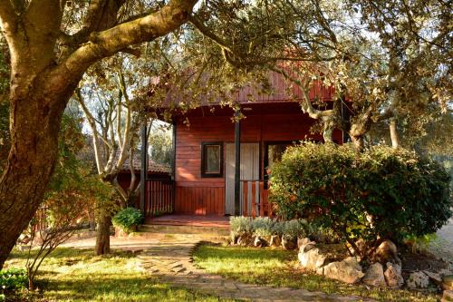 Alquezar Otro | Camping Alquézar