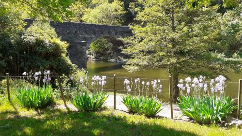 Cocures Otro | Camping Chantemerle