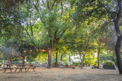Dafna Otro | Camping Dafna - By Travel Hotel Chain
