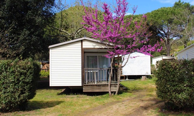Saint-Jean-Pla-de-Corts Casa | Camping 3 étoiles - Piscine - cca0gbe
