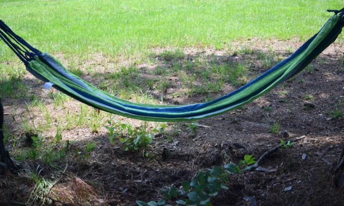 Kingstree Alquiler De RV | Camping it is!