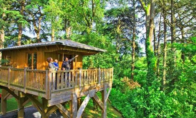 Albi Casa | Camping - Piscine - ef0fdb