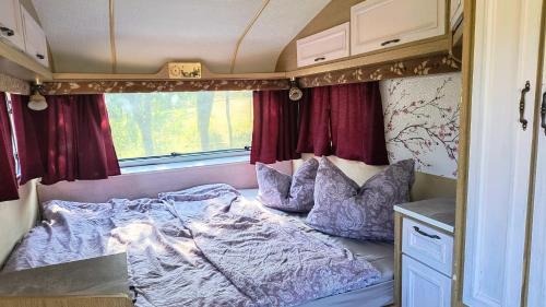 Cristolt Otro | Camping Poiana Stelelor