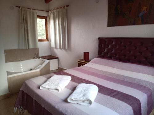 Nono Casa | Campo de los Zorros