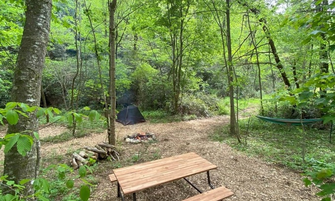 Zirconia Alquiler De RV | Campsite 2 - Creekside on 38 acres- biking and hiking trails