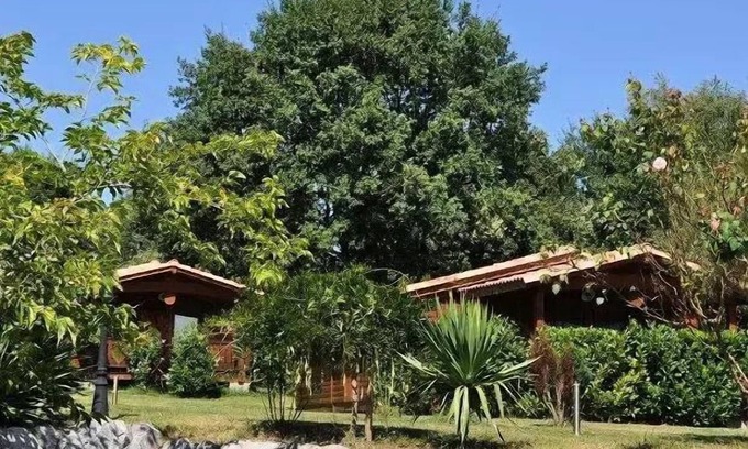 Montrejeau Chalet De Esquí | Camping Midi Pyrenées **** - Chalet 2 piezas 2 personas