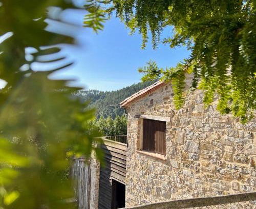 Sant Joan de Les Abadesses Casa | Can Sau
