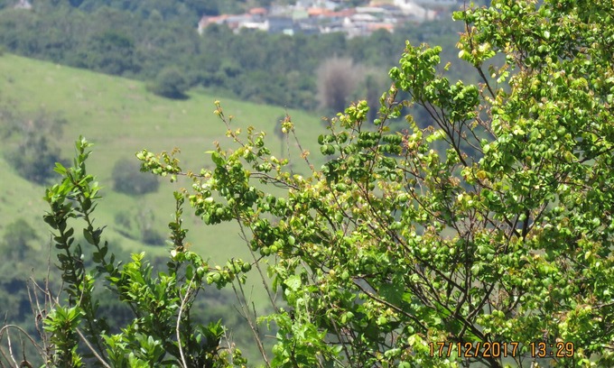 Nazare Paulista Casa | HERMOSA GRANJA.