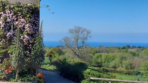Reville Casa | Cap 1