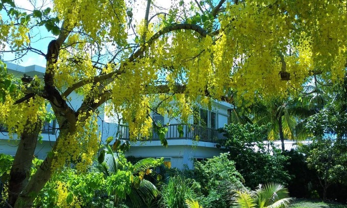 Bain Boeuf Apartamento | Cap Heureux Villas