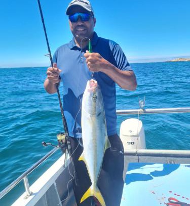Simon's Town Alquiler De Eote | Cape Marine Adventures