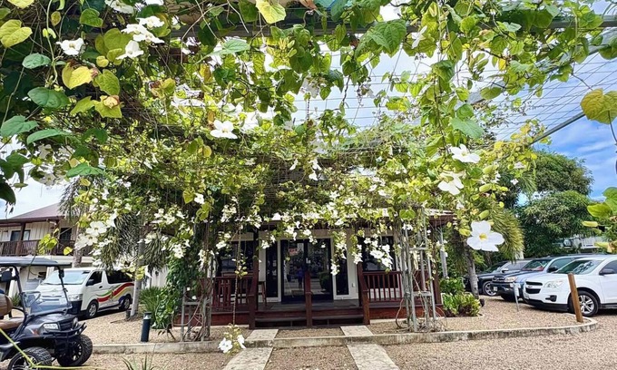 Placencia Apartamento | Captain Jaks