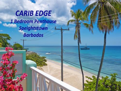 Douglas Apartamento | Carib Edge, AC beach penthouse