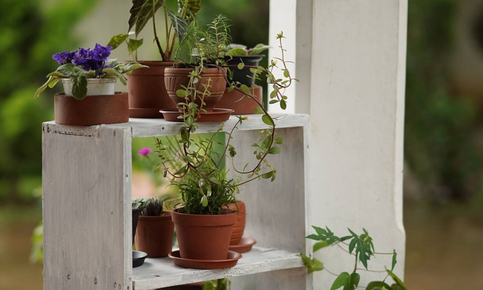 Kushalnagar Villa | Carpe diem stay a holiday home located in the midst of greenery away from town..