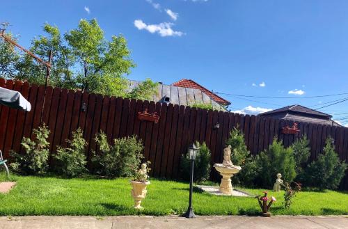 Hateg Casa | Casa Alexia