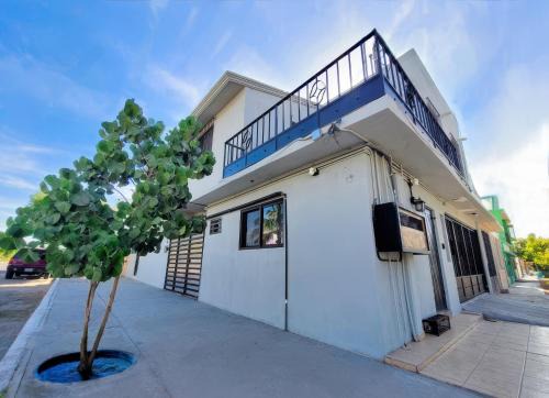 La Paz Casa | Casa Arbol