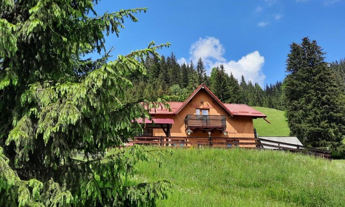 Vatra Dornei Casa | Casa Aurici Vatra Dornei