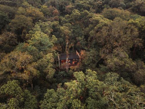 Sao Francisco de Paula Casa | Casa Caúna