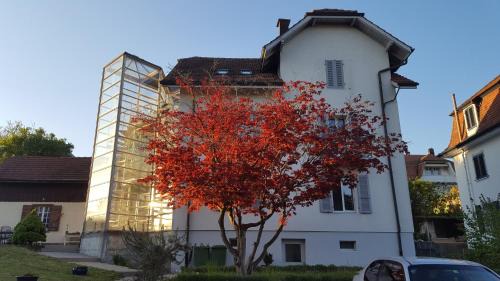 Solothurn Casa | Casa Carmela