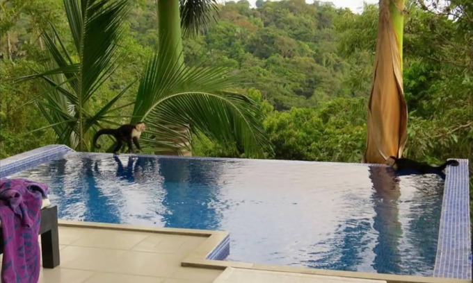 Manuel Antonio Casa | Casa con espectacular vista al mar