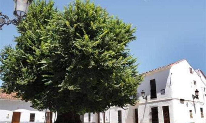 Cortelazor Casa | Casa coro