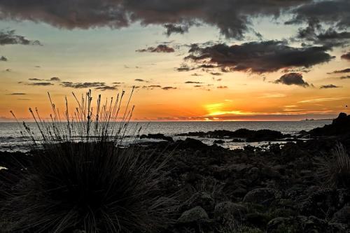 Lagoa Apartamento | Casa Cruzeiro AL - by the sea OCEANTUR